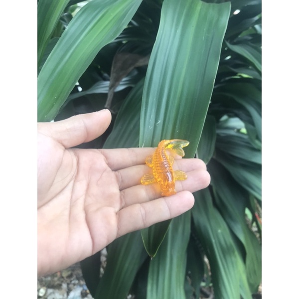 Phôi cá vàng cho   trang trí  mặt  bàn Epoxy resin