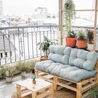 Combo Sofa + bàn trà gỗ thông pallet