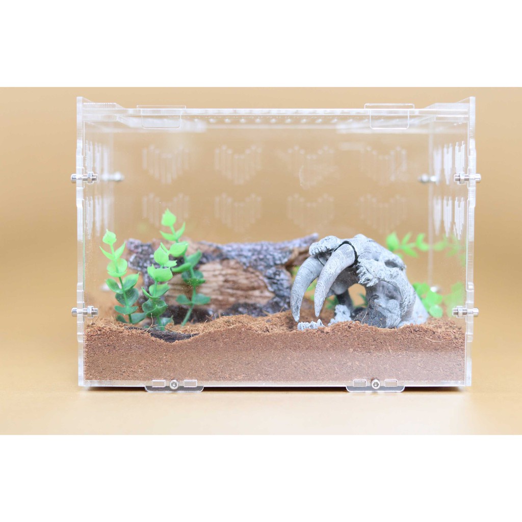 Hộp Nuôi Nhện 15-10-10 tank tarantula