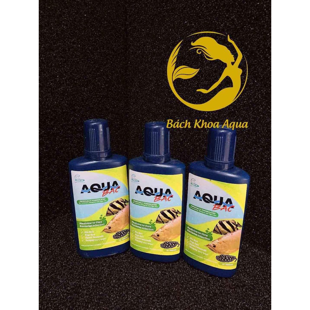 Aqua Bạc - Trị bệnh nấm cho cá