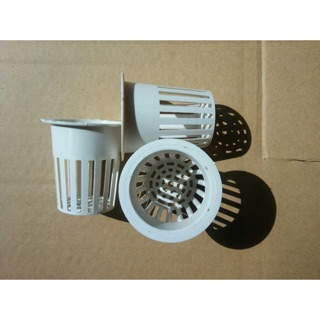 100 rọ trồng rau thuỷ canh