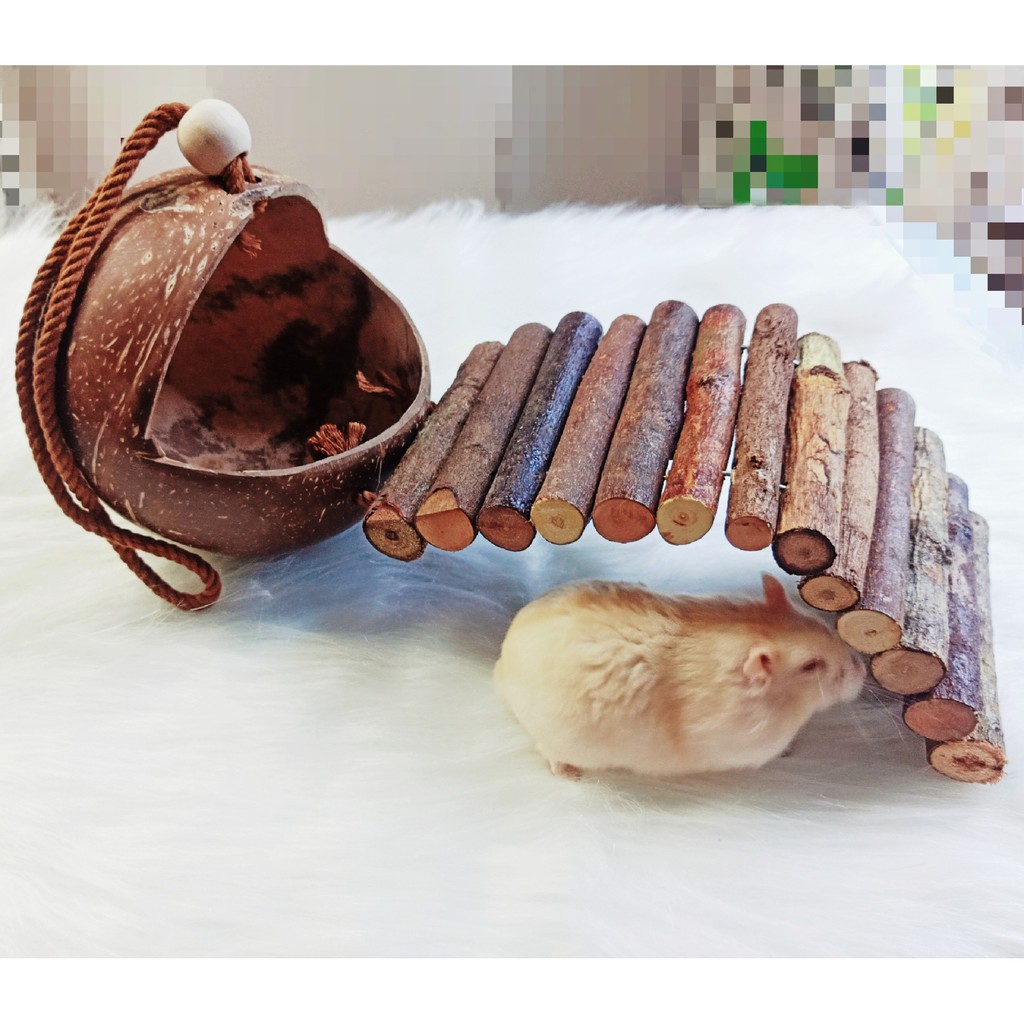 Nhà ngủ gáo dừa 3in1