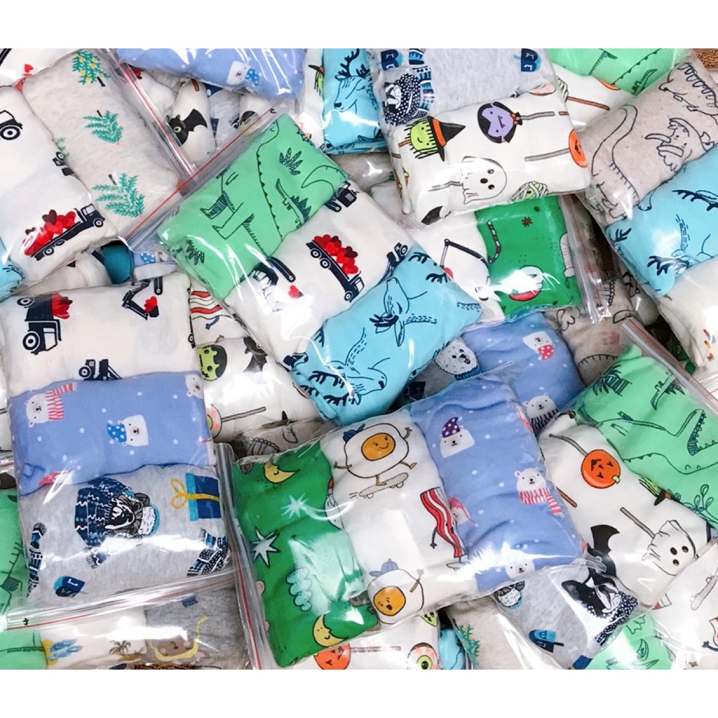 Bộ Borip Bé Trai Quần Đũng Họa Tiết Đáng Yêu, Chất Liệu Co Giãn Thấm Hút HM143-Homi Kids