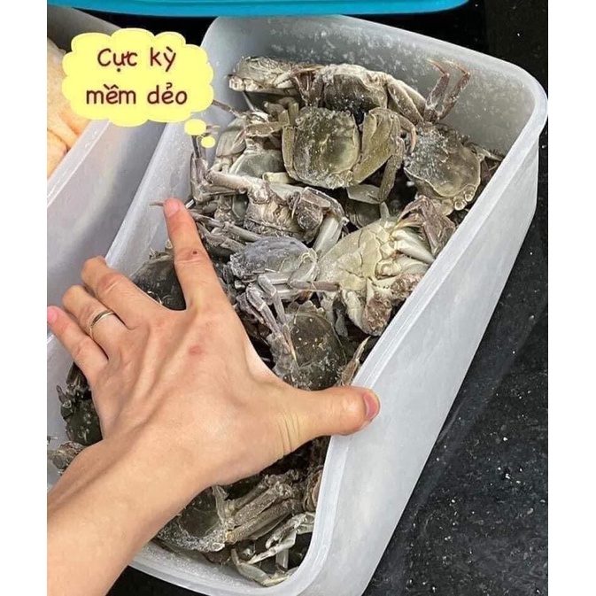 Hộp Đông 5.7L , 3.1L