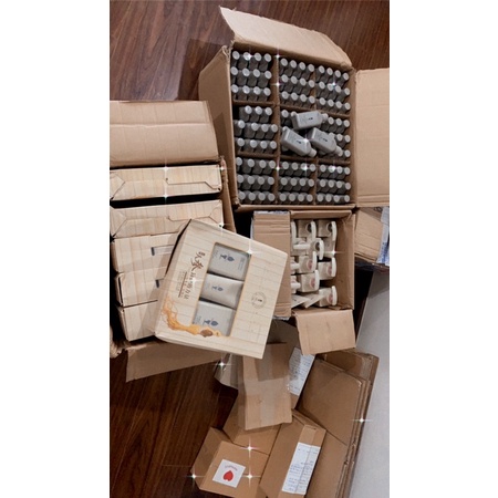 Dầu gội Adolph 55g