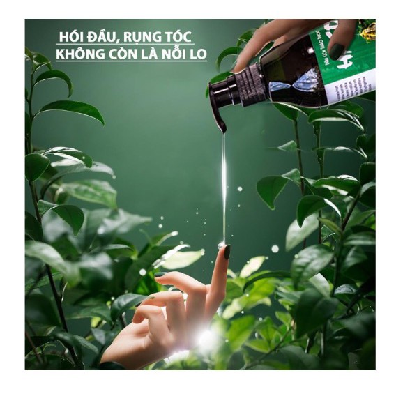 Dầu gội thảo dược Haco 300ml-ngăn ngừa rụng tóc, kích thích sự phát triển của nang tóc/Hàng chính hãng | BigBuy360 - bigbuy360.vn