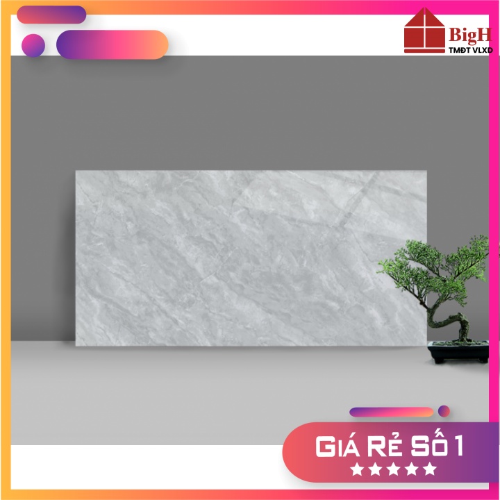 Gạch ốp tường Catalan 30x60 3644. Men bóng, dễ lau chùi - Vật liệu xây dựng BigH