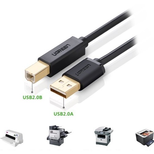 Cáp USB máy in dài 5m Ugreen_UG 10352