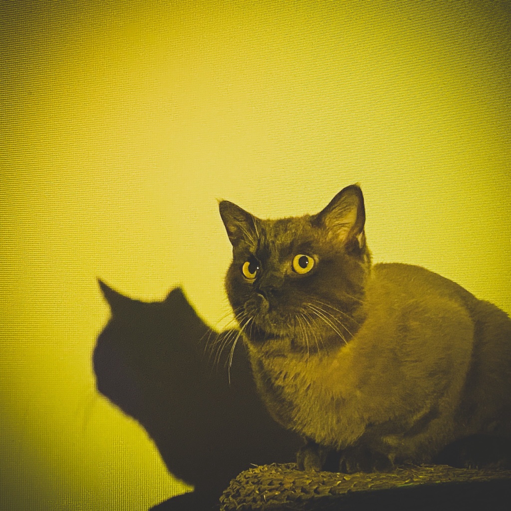 Máy Chiếu YG530  1024*600 phân giải thực + kết nối không dây + Rạp Văn Công