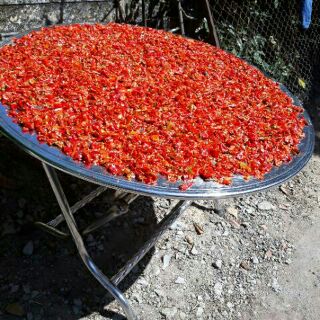 1kg ớt bột nhà trồng