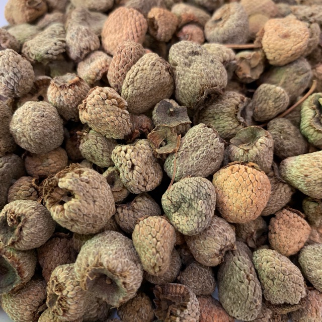 Phúc Bồn Tử 100GRAM