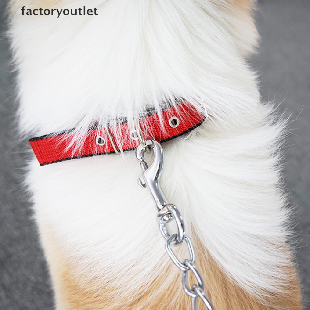 Vòng Cổ Nylon Cho Chó Cỡ Nhỏ / Vừa / Lớn / Keji / Chó Bull / Beagle QWD