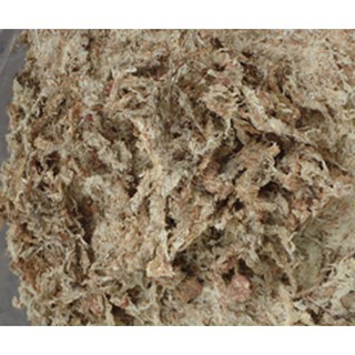 [Giá sỉ]Dớn trắng (dớn mềm) chất trồng hoa lan 200g