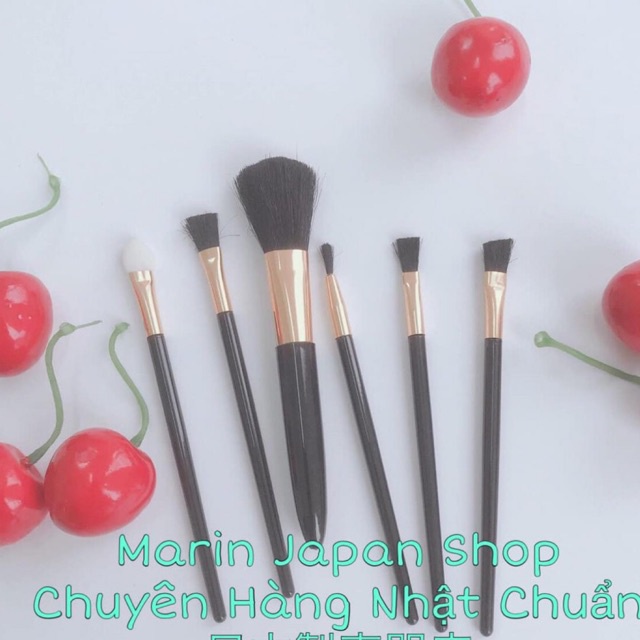 Sét 6 chiếc chổi cọ mini trang điểm hàng Nội Địa Nhật Bản