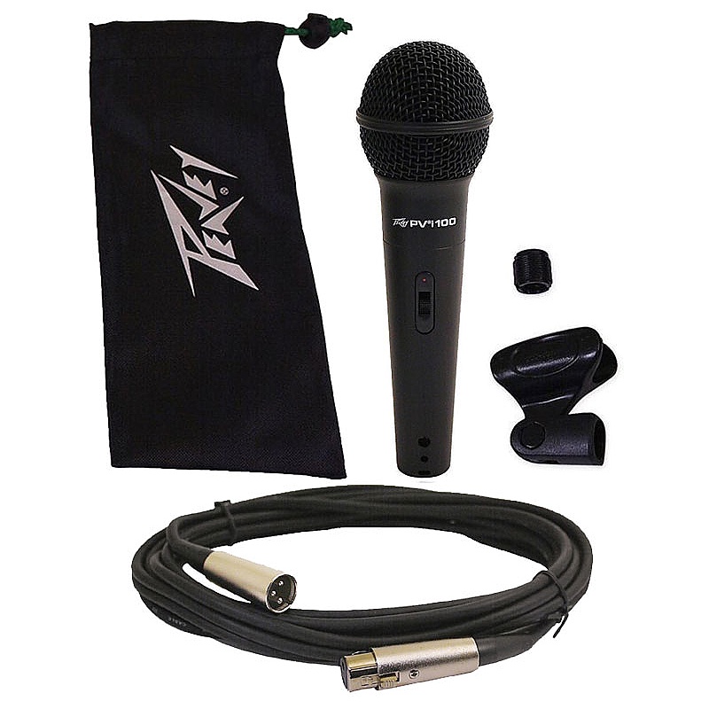 COMBO Micro Peavey PVi100