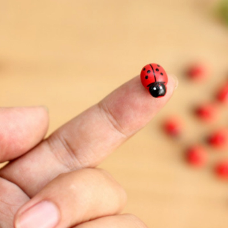 Bộ 10 Bọ Cánh Cứng Mini Bằng Nhựa Dùng Trang Trí Tiểu Cảnh Diy