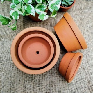 Chậu đất nung thấp nâu trồng sen đá, xương rồng siêu đẹp