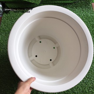 Chậu nhựa giả sứ màu trắng size đại
