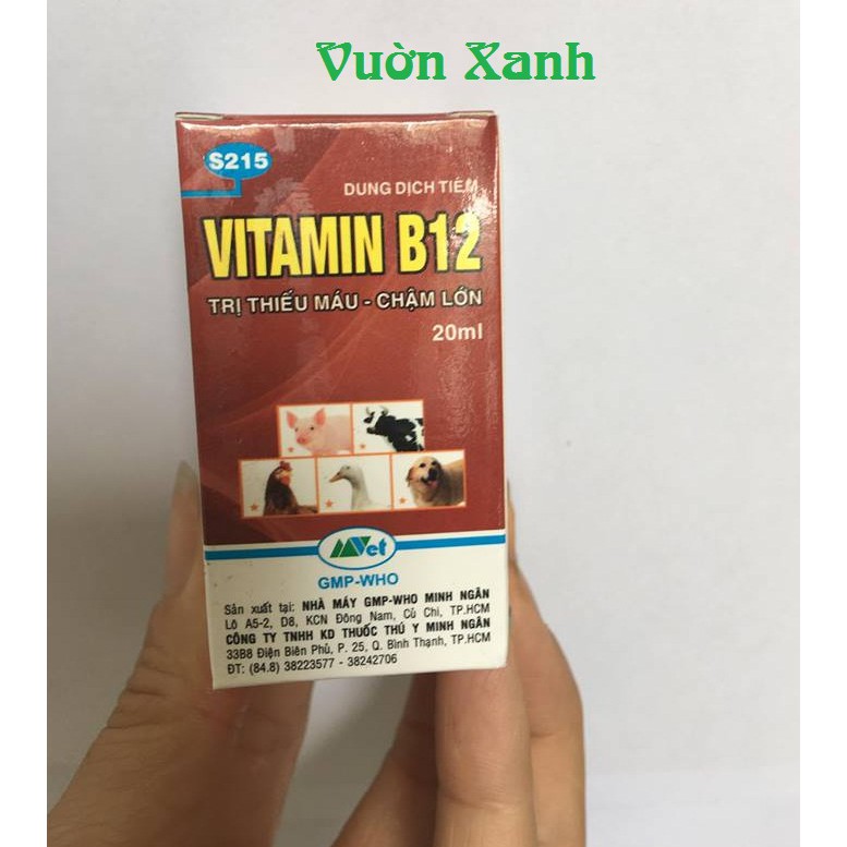 Vitamin B12 cho cây cảnh, phong lan 20ml