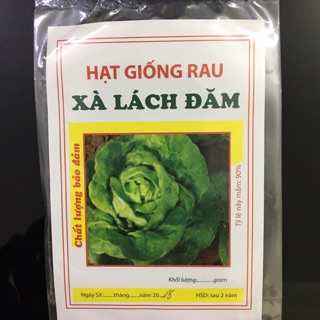 Hạt giống xà lách đăm