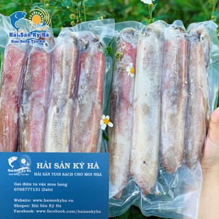 Giá Sỉ 1Kg Mực Ống Các Loại - Q12