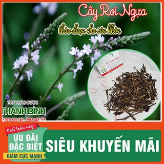 Cây Roi Ngựa 1Kg - Thảo Dược Sấy Khô Loại 1