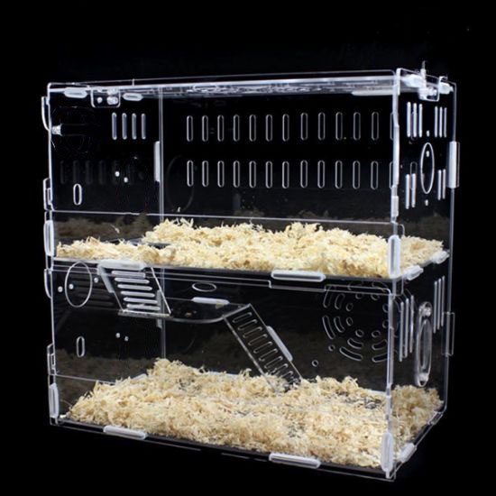 Lồng Hộp Nuôi Thú Cưng Chuột Hamster 2 Tầng Mica Trong