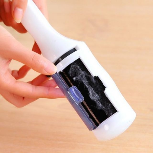 Cây Lăn Bụi Cây Lăn Sạch Lông Thú Cưng