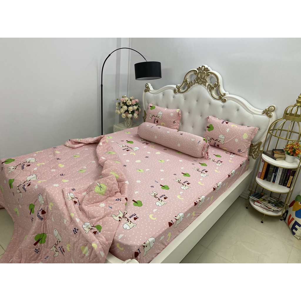 Bộ Drap kèm mền Thun Hàn Quốc ( 5 món } đủ size