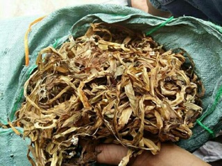 Trinh nữ hoàng cung
