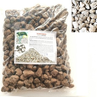 Đá bọt núi lửa Pumice  cỡ 1cm - 2cm dùng rải mặt, lót đáy, trộn giá thể trồng lan, bonsai túi 1kg