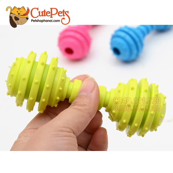 Đồ chơi cao su gắn chuông hình quả tạ gai cho chó - CutePets Phụ kiện chó mèo Pet shop Hà Nội