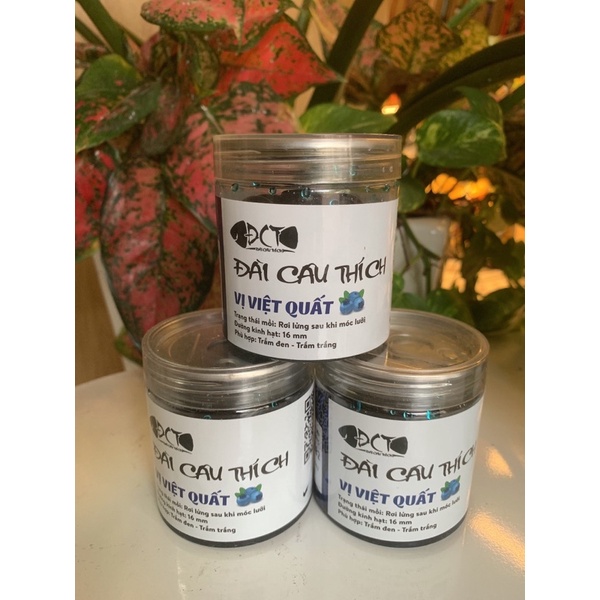 Hạt đan câu cá Đài Câu Thích chuyên trắm đen