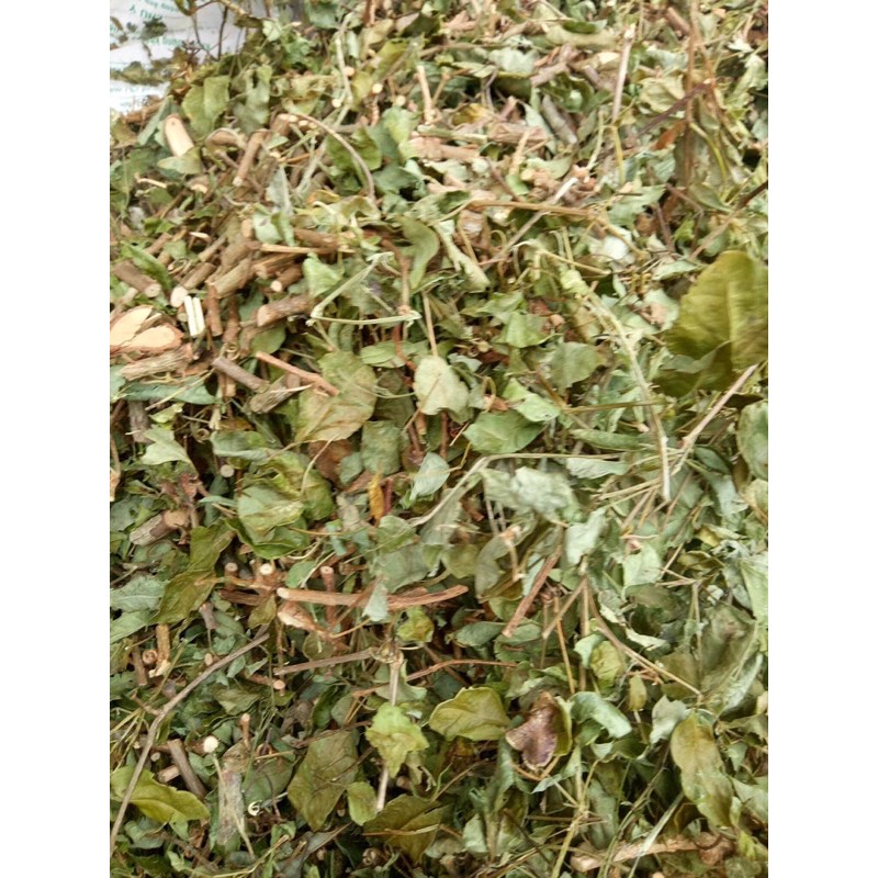 🌳🌳CHÈ DÂY RỪNG Măng đen 1 ký