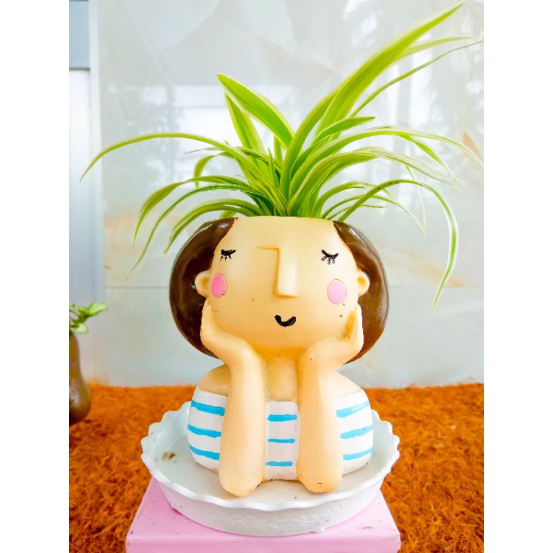 Chậu Thú Composite Đã Mix Cây