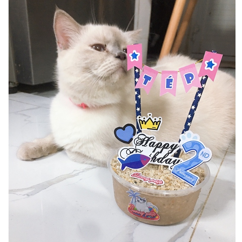 Hộp pate chủ đề sinh nhật cho thú cưng - Sunnypate