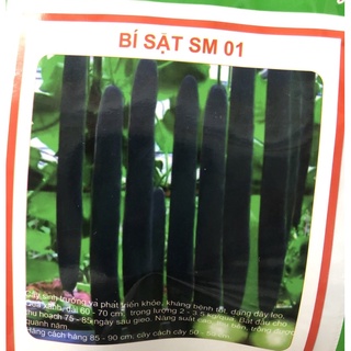 Hạt giống bí sặt 30 h