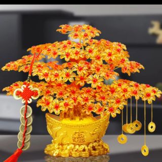 Cây kim tiền tài lộc size 14