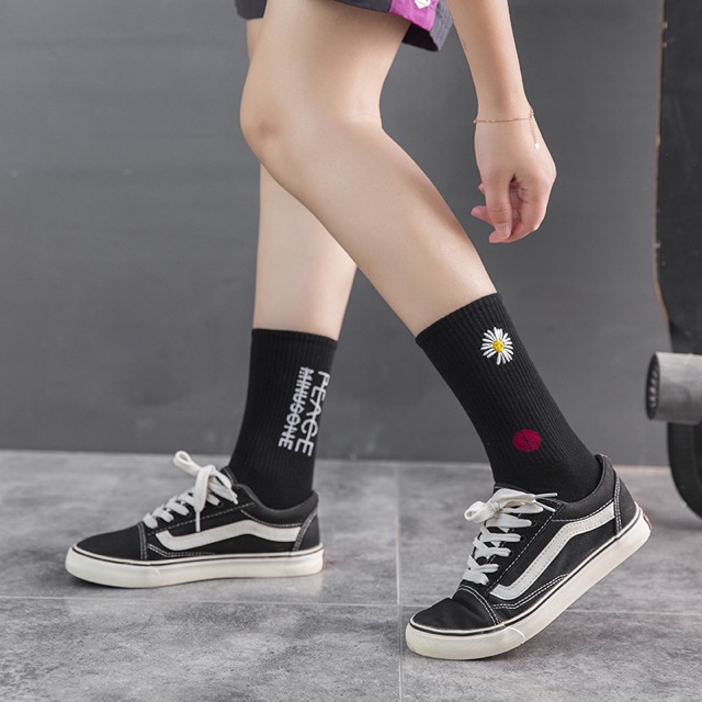 Sỉ tất Gd hoa cúc