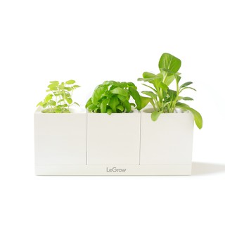 Bộ 3 chậu trồng cây thông minh Legrow - Basic Kit
