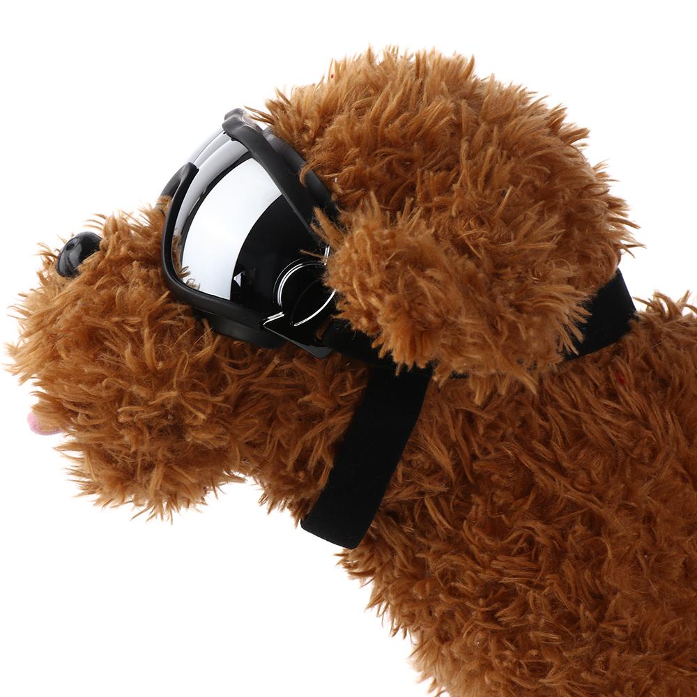 Suyo Mắt Kính Chụp Ảnh Cho Thú Cưng Có Thể Điều Chỉnh Hữu Dụng