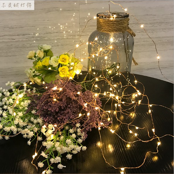 Combo 2 dây đèn fairy light và 1 dây đèn bi nhỏ trang trí ngoài trời