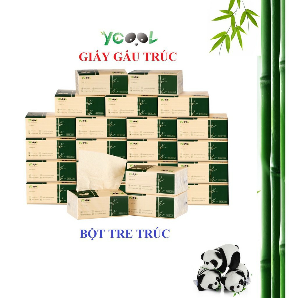 THÙNG 30 GÓI GIẤY ĂN GẤU TRÚC YCOOL (HOT)