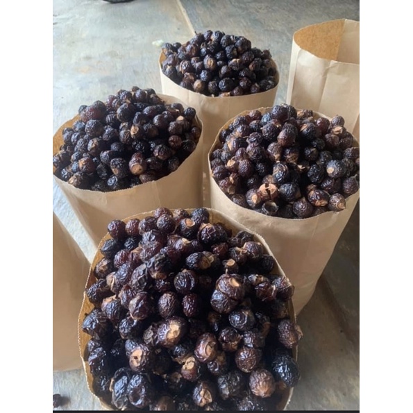 Bồ hòn tách hạt 1kg (loại 1)