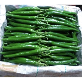 ớt xanh Hàn Quốc 100g [ CHỈ GIAO TẠI THÀNH PHỐ HỒ CHÍ MINH]