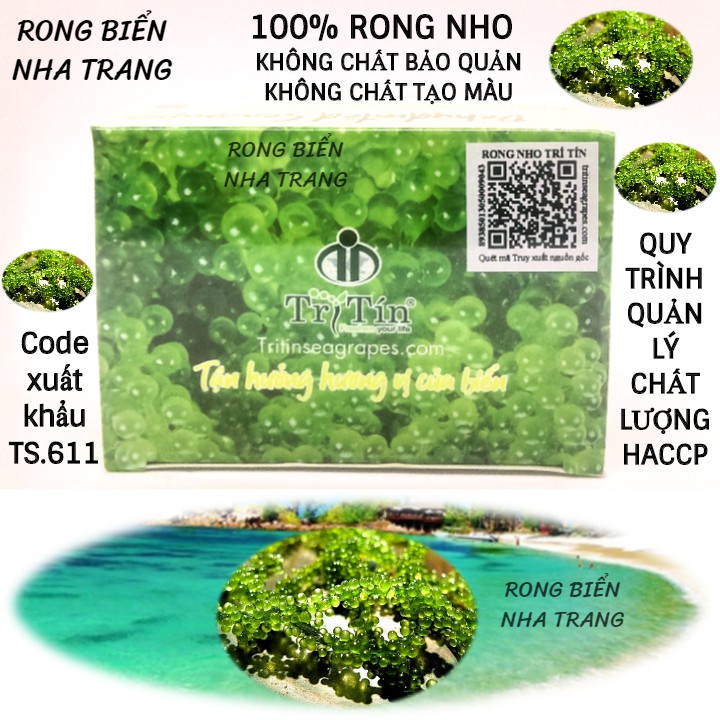 Rong nho tươi tách nước Trí Tín hộp 100g (1 hộp gồm 5 gói)