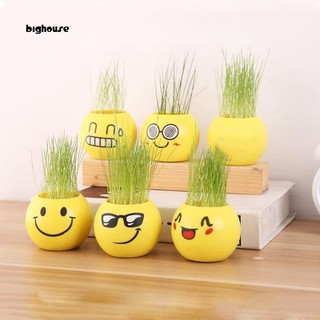 Chậu cây để bàn mini mặt cười