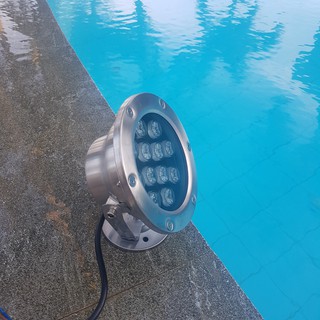 Đèn LED âm nước đế hồ cá Koi