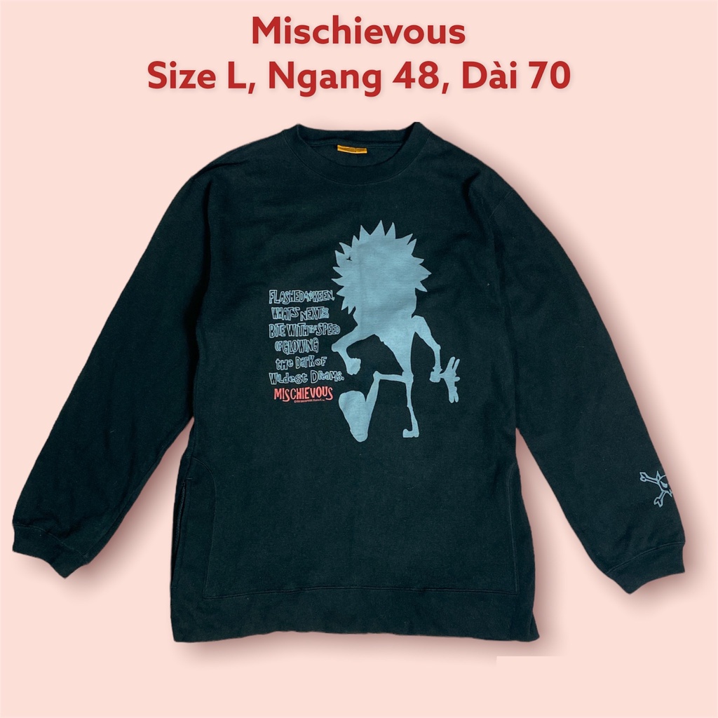 Áo hoodie unisex 2hand và sweater hàng mỹ vải nỉ tuyển