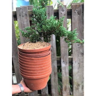 Chậu đất nung trồng lan trồng cây size đại rộng 22,5cm x cao 13,5 cm